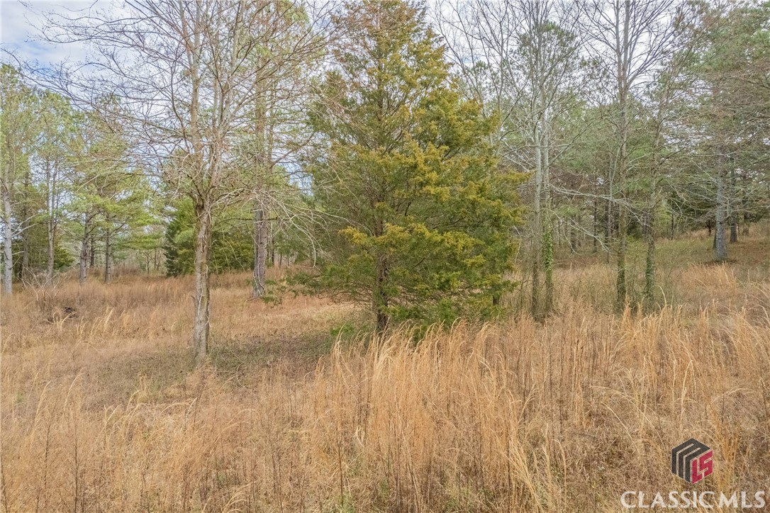 384 Old Airport Road, Unit LOT 5 Commerce, GA 30530 - Photo 10 of 33