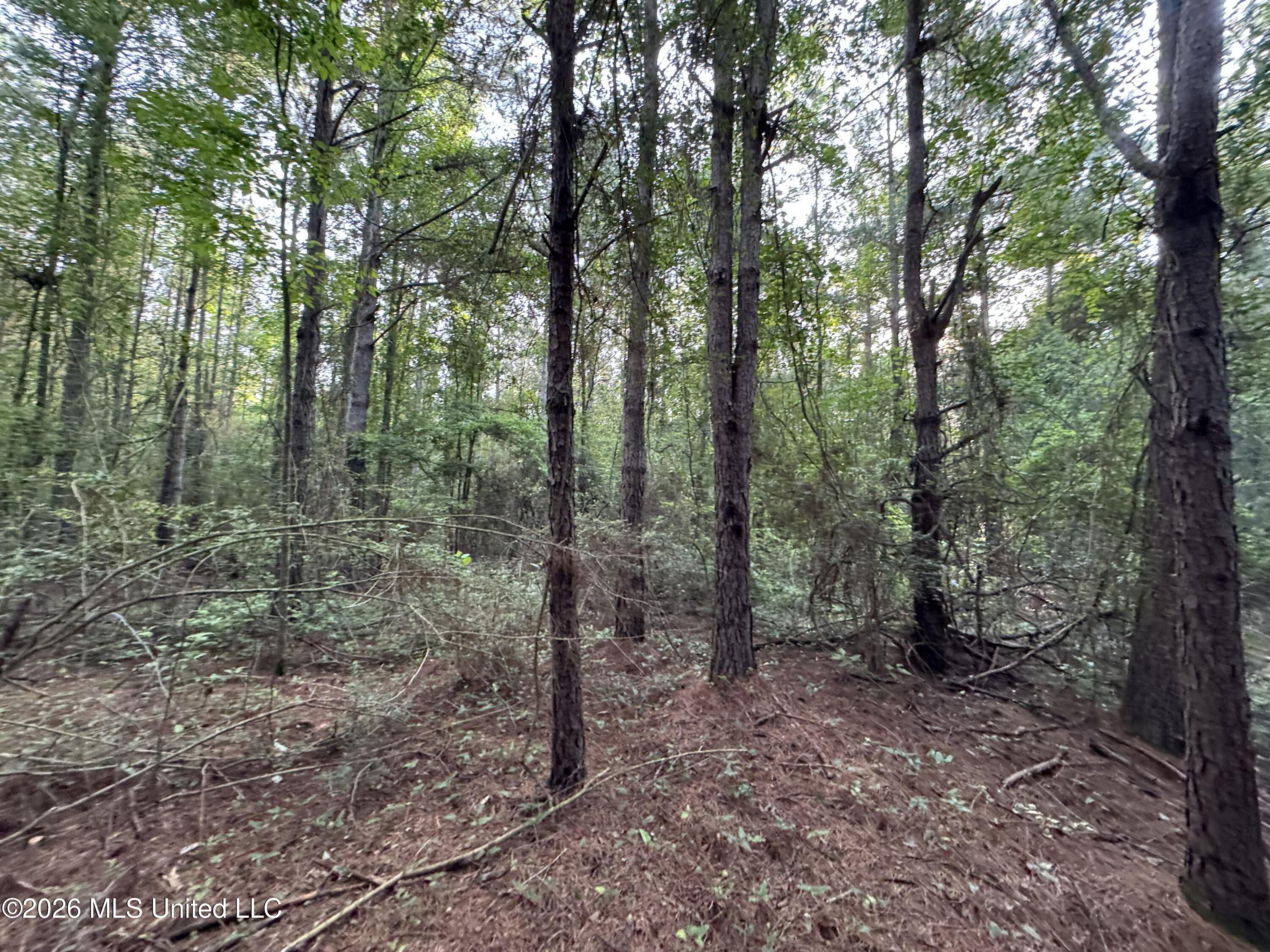 3 North River Rd Summit Summit, MS 39666 - Photo 6 of 12 IMG_0375