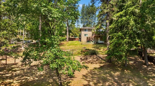 a view of a yard with trees