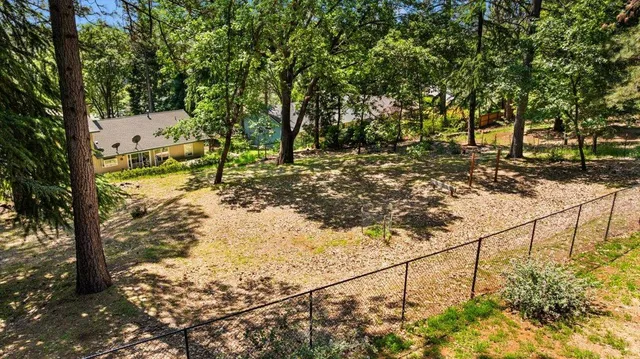 a view of a yard with large trees