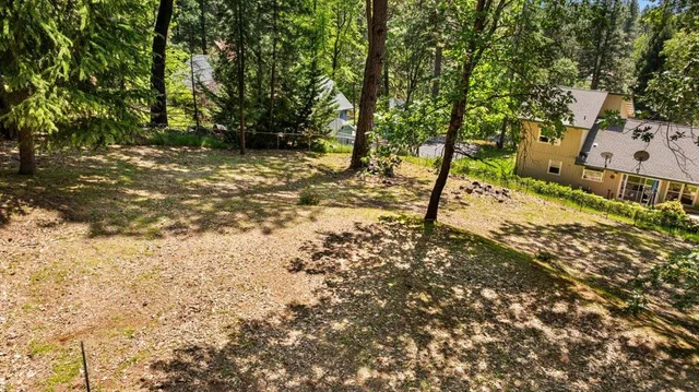 a view of a yard with plants and trees