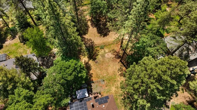 a view of a city with lush green forest