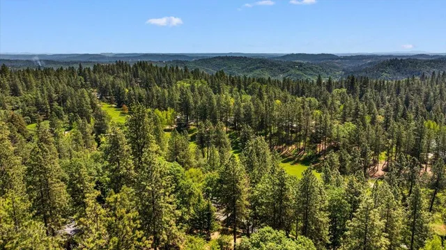 a view of a city with lush green forest