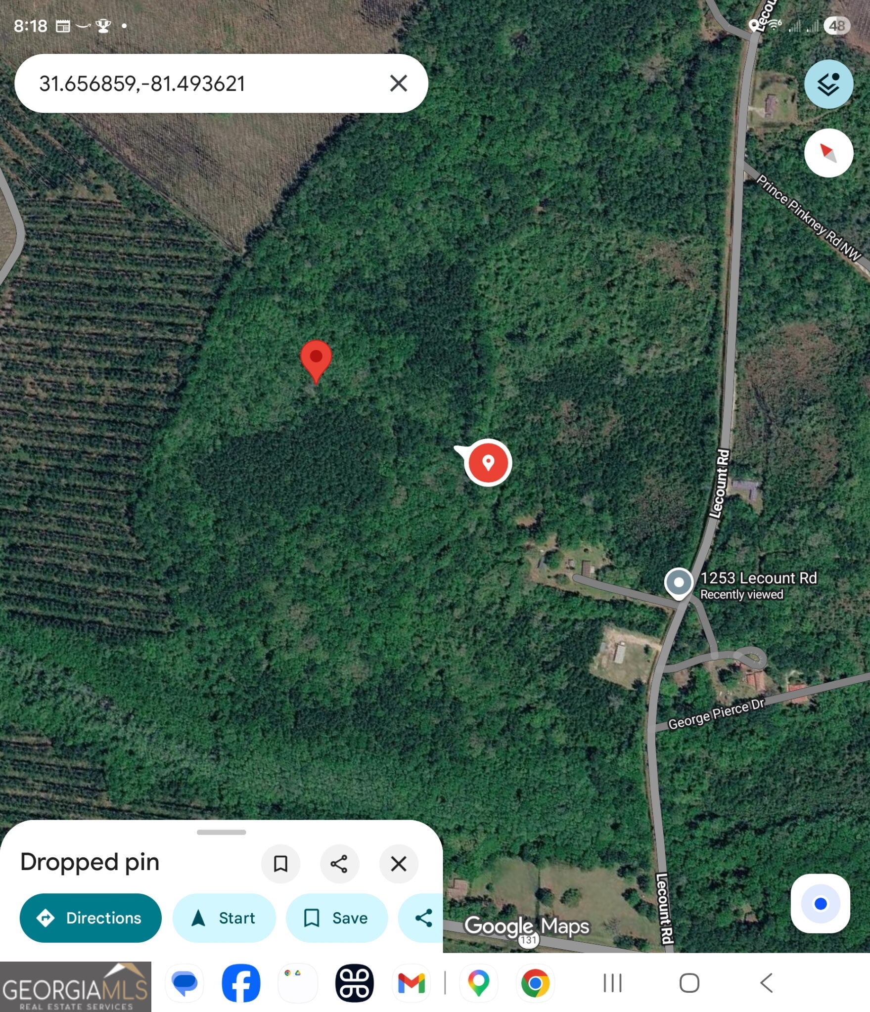 N/s Hwy 131 Lecounte Road Townsend, GA 31331 - Photo 2 of 4
