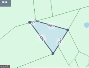 N/s Hwy 131 Lecounte Road Townsend, GA 31331 - Photo 4 of 4