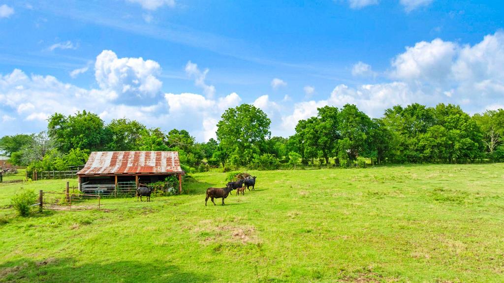 900 County Road Paris, TX 75462 - Photo 17 of 29