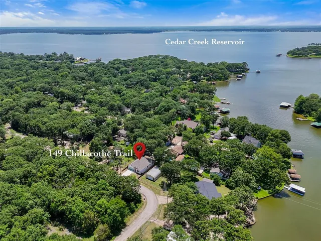 a view of a garden with a lot of flower in it