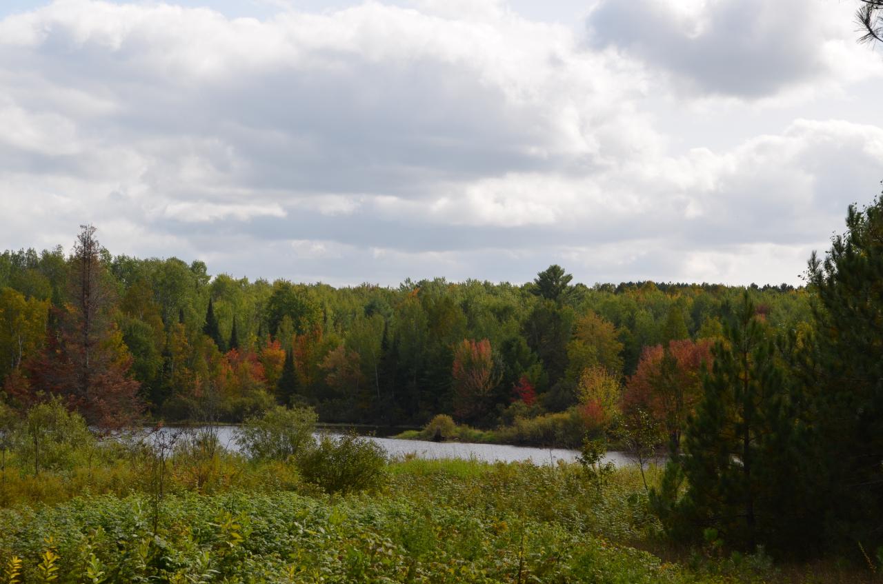 Parcel B Walleye Way Tomahawk, WI 54487 - Photo 8 of 25 Gallery Image 8
