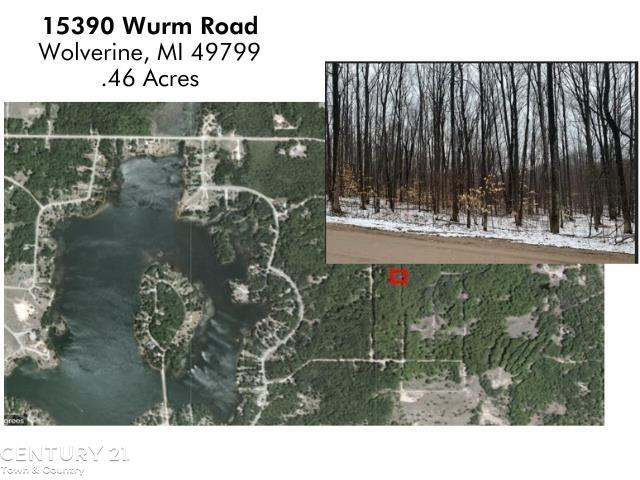 15390 Wurm Road Wolverine, MI 49799 - Photo 2 of 5