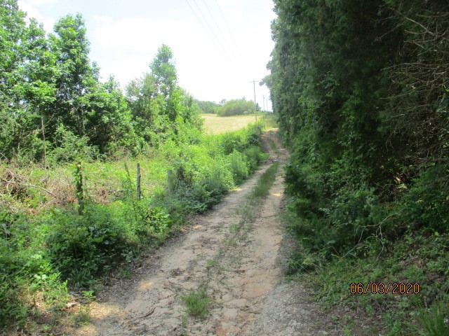 1811 Warren Watt Road Iva, SC 29655 - Photo 3 of 9