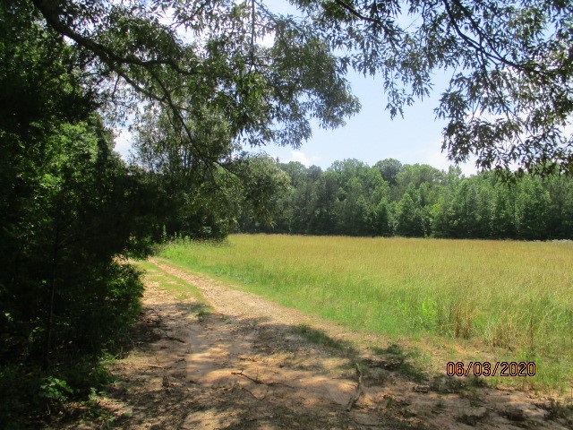 1811 Warren Watt Road Iva, SC 29655 - Photo 4 of 9