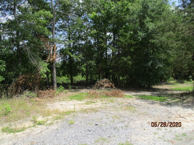 1811 Warren Watt Road Iva, SC 29655 - Photo 7 of 9