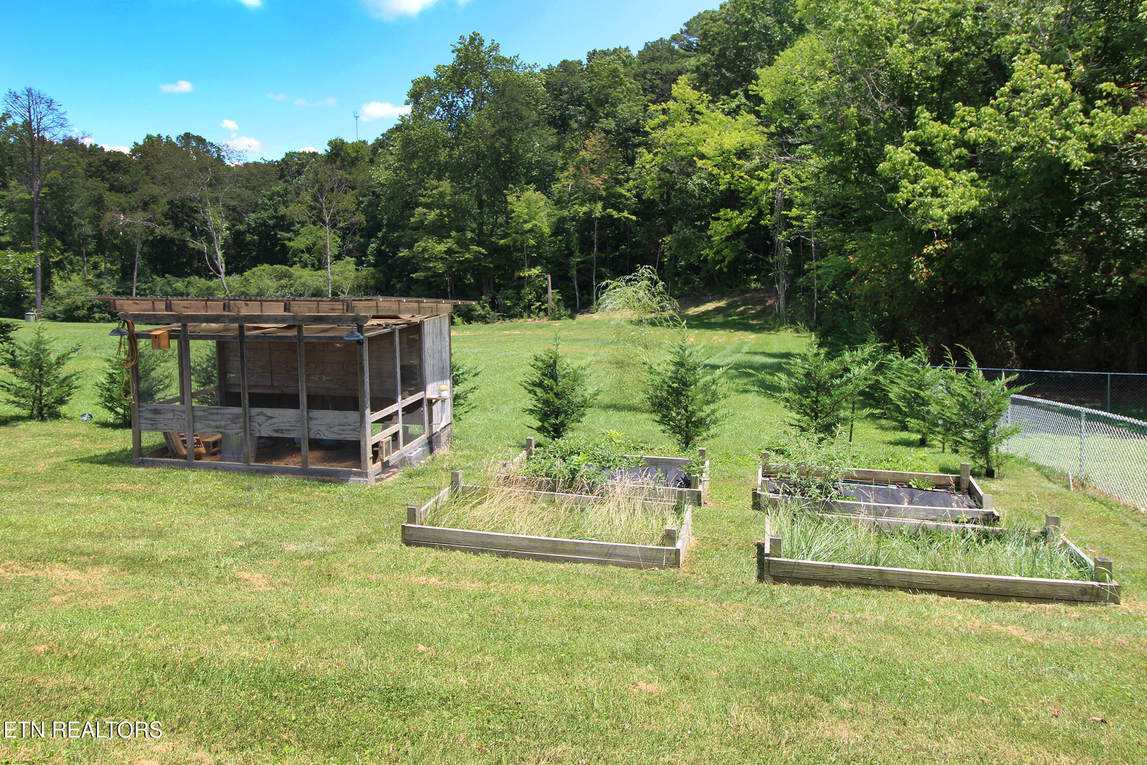 3718 Cherrylog Road Knoxville, TN 37921 - Photo 30 of 31 Backyard