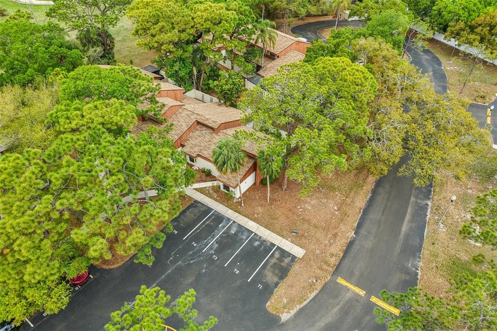 2064 Sunset Point Road, Unit 71 Clearwater, FL 33765 - Photo 31 of 43