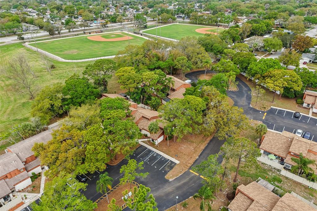 2064 Sunset Point Road, Unit 71 Clearwater, FL 33765 - Photo 32 of 43