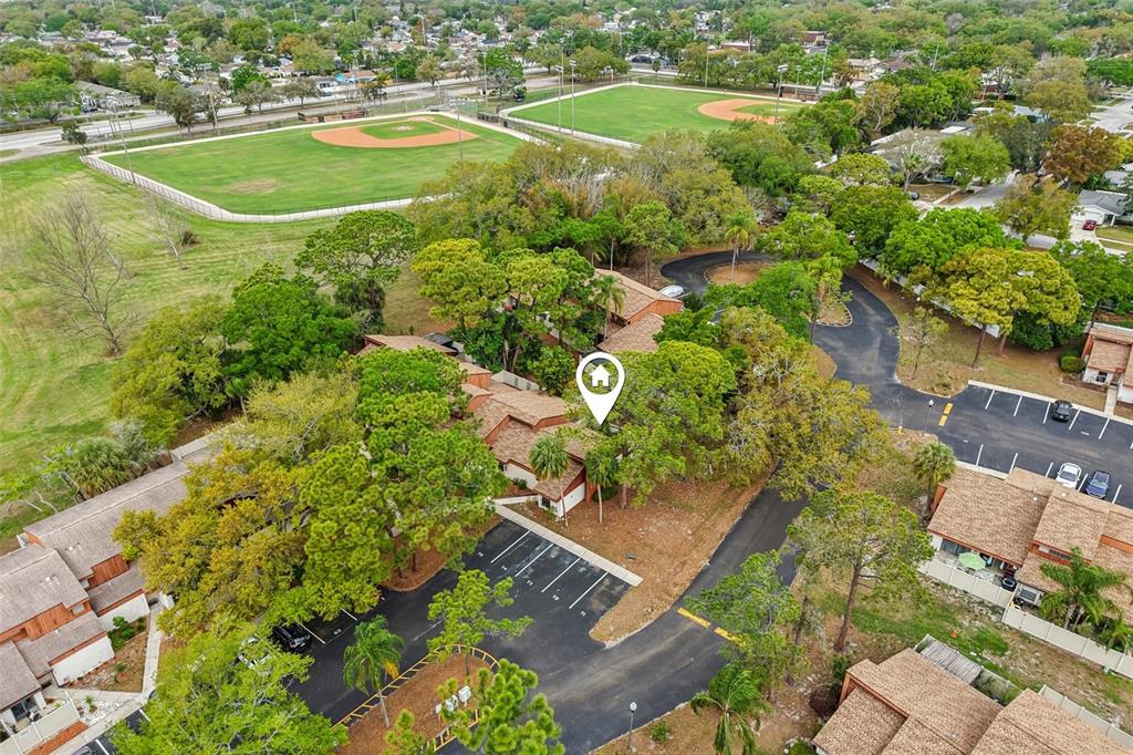 2064 Sunset Point Road, Unit 71 Clearwater, FL 33765 - Photo 33 of 43