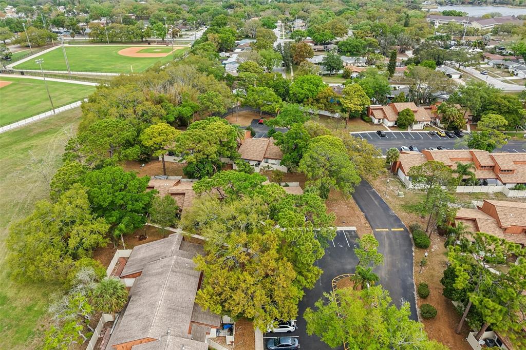 2064 Sunset Point Road, Unit 71 Clearwater, FL 33765 - Photo 34 of 43