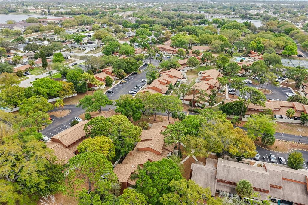 2064 Sunset Point Road, Unit 71 Clearwater, FL 33765 - Photo 35 of 43