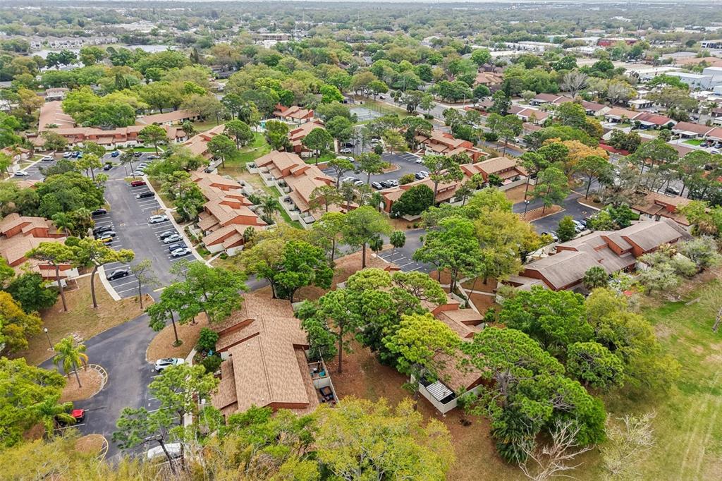 2064 Sunset Point Road, Unit 71 Clearwater, FL 33765 - Photo 36 of 43