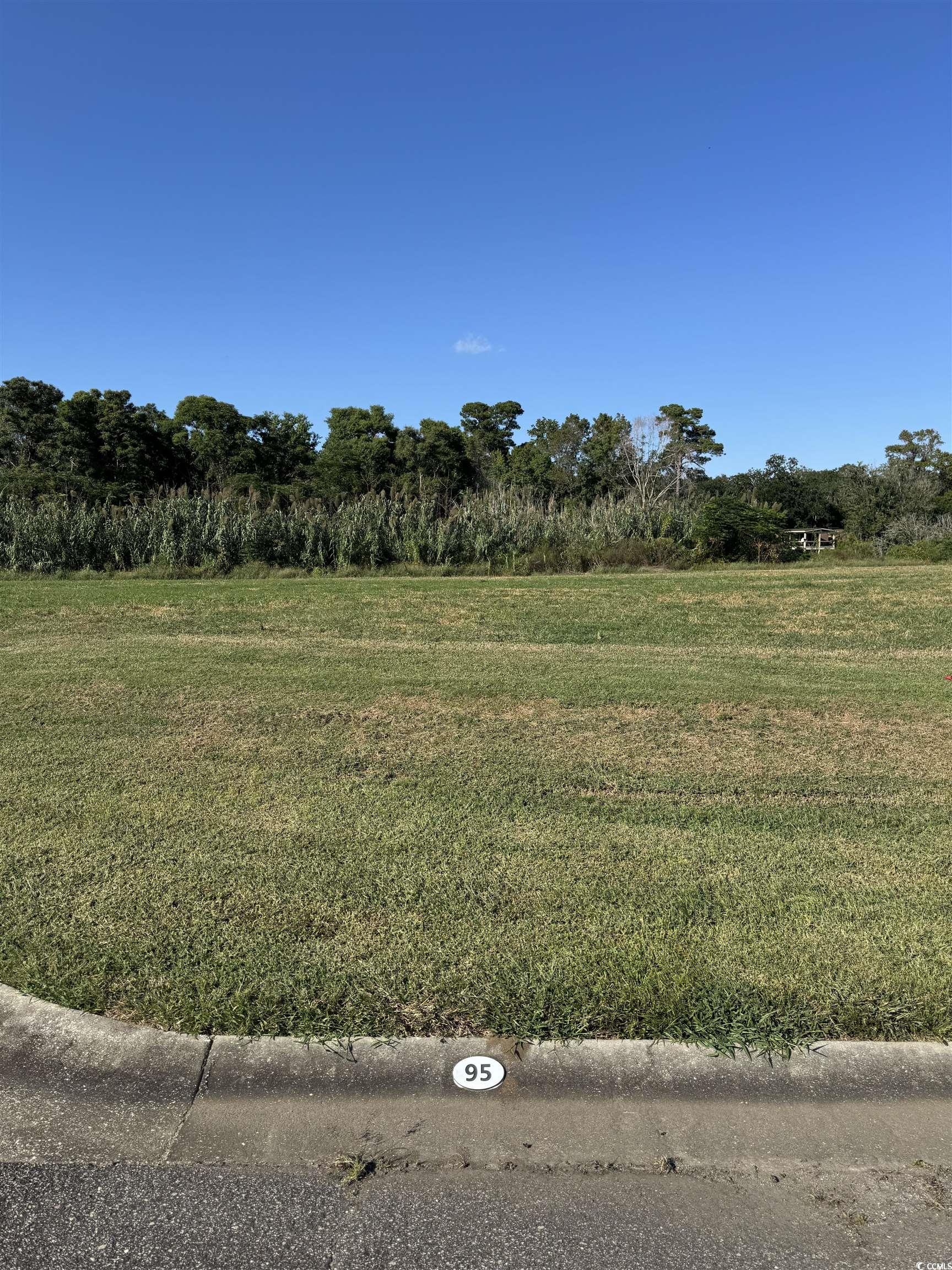 Lot 95 Cravens Street Georgetown, SC 29440 - Photo 2 of 17 View of asphalt road with curbs