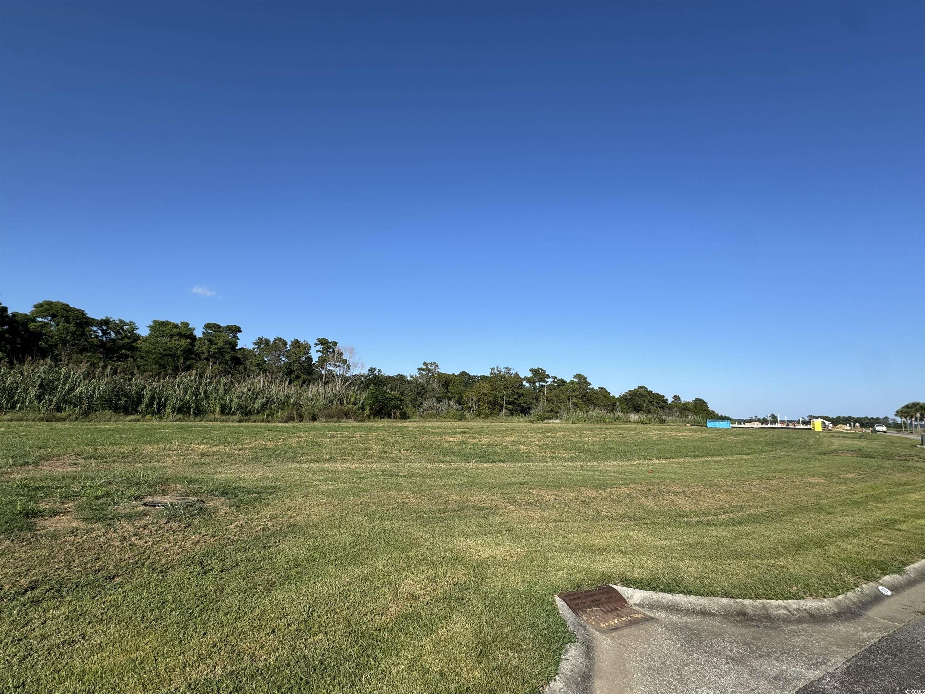Lot 95 Cravens Street Georgetown, SC 29440 - Photo 3 of 17 View of grassy yard