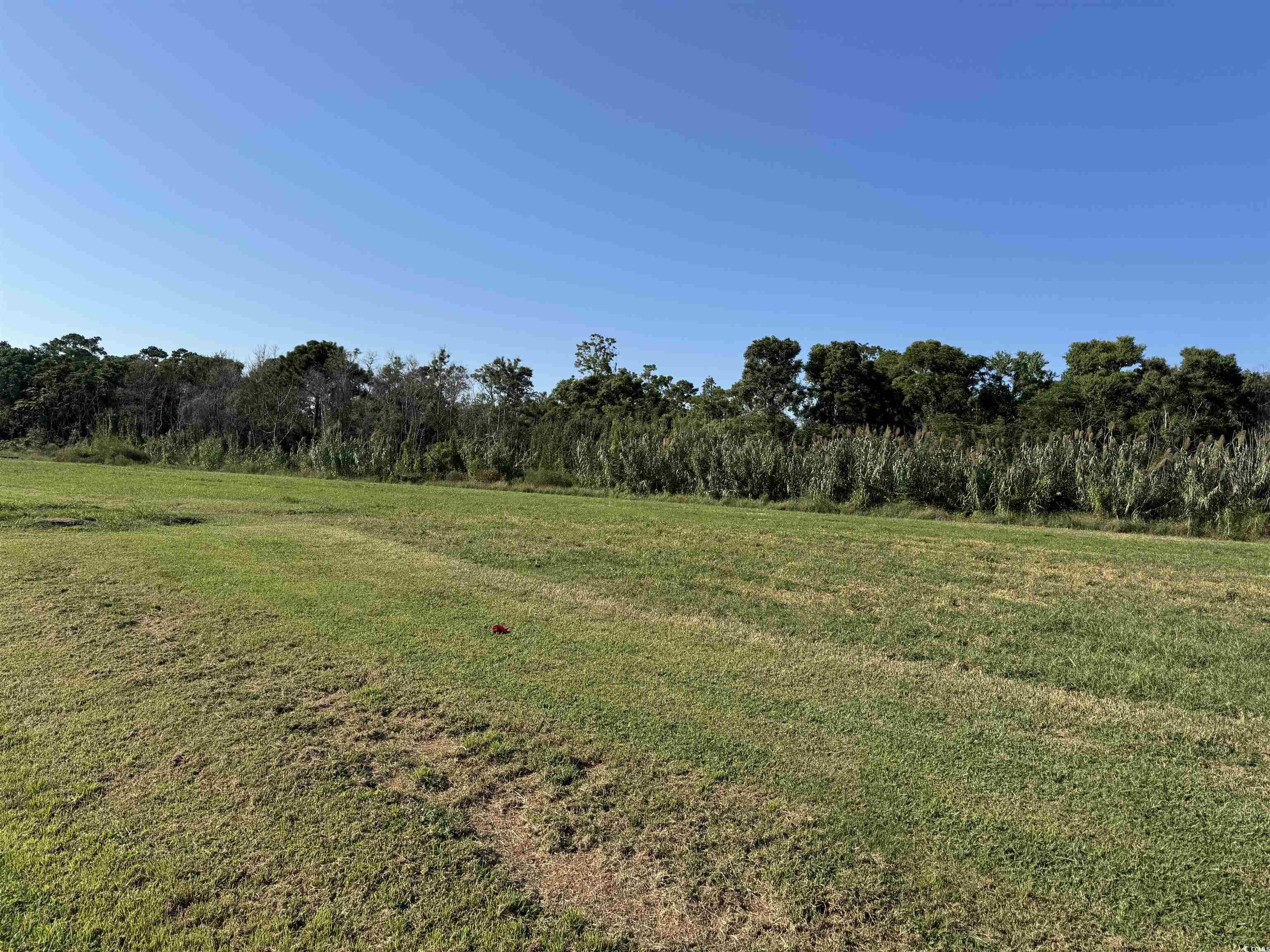 Lot 95 Cravens Street Georgetown, SC 29440 - Photo 6 of 17 View of green lawn with a rural view