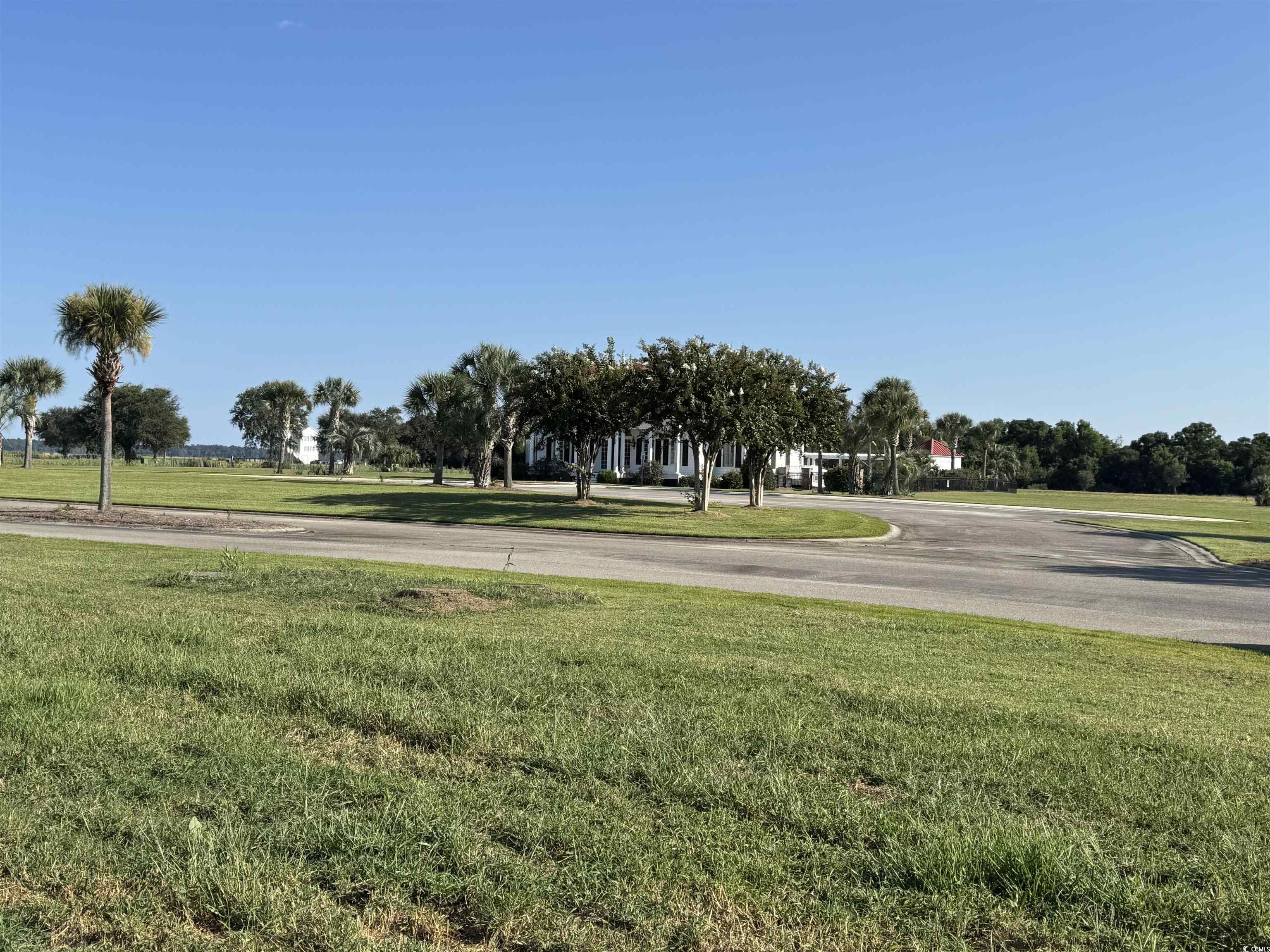 Lot 95 Cravens Street Georgetown, SC 29440 - Photo 8 of 17 Surrounding community featuring a yard