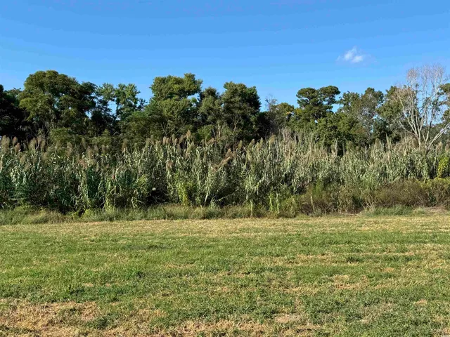 $75,000 | Lot 95 Cravens Street, Georgetown, SC 29440