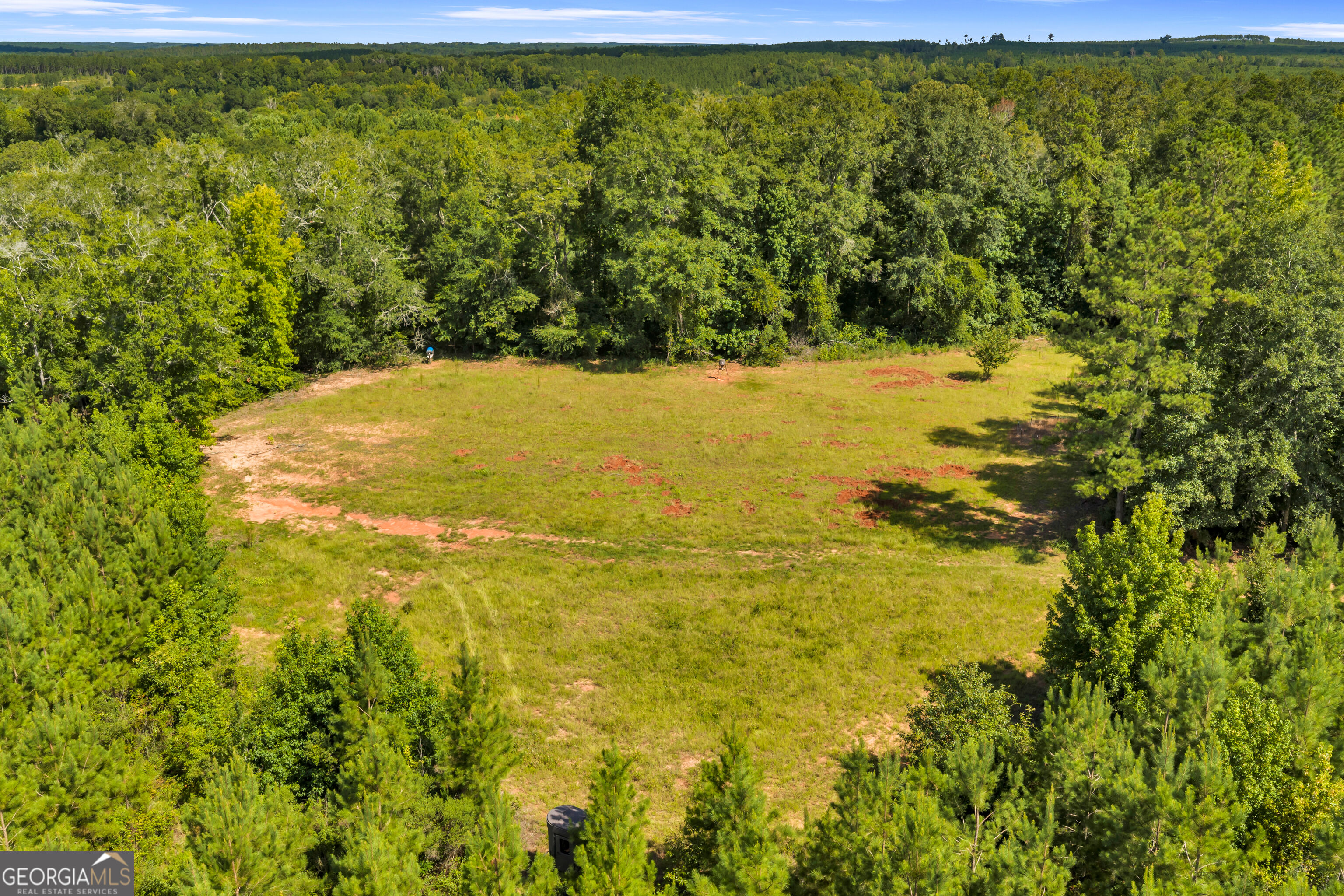 100 Bussey Place Road Morris, GA 39867 - Photo 101 of 174 Gallery Image 101