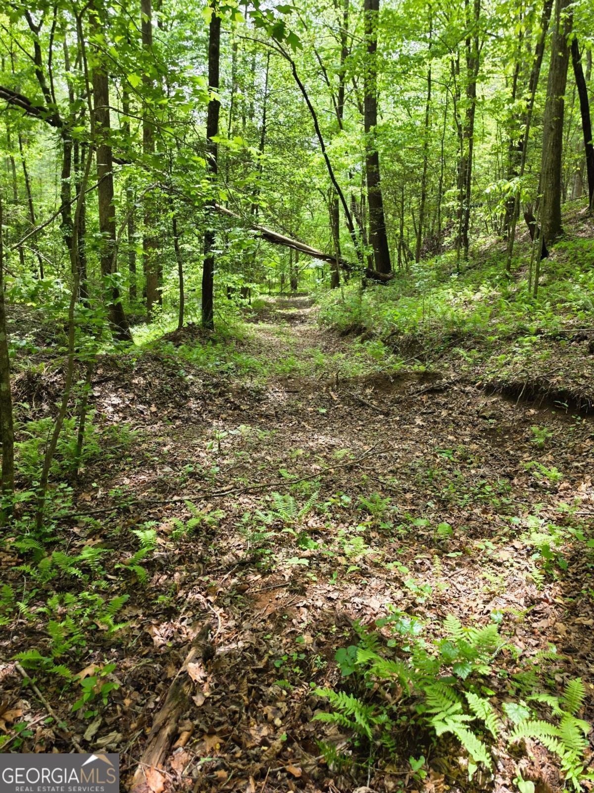 409 Harrison Sluder Road, Unit 140 Ellijay, GA 30540 - Photo 14 of 33 a big yard with lots of green space and deers