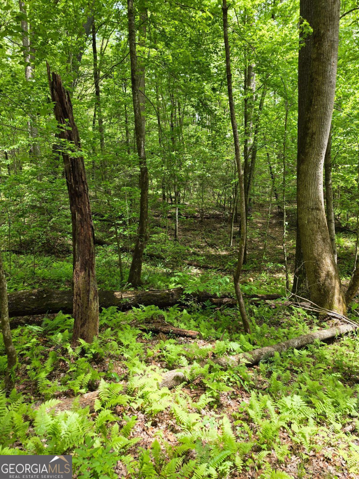 409 Harrison Sluder Road, Unit 140 Ellijay, GA 30540 - Photo 17 of 33 a backyard of a house with lots of green space