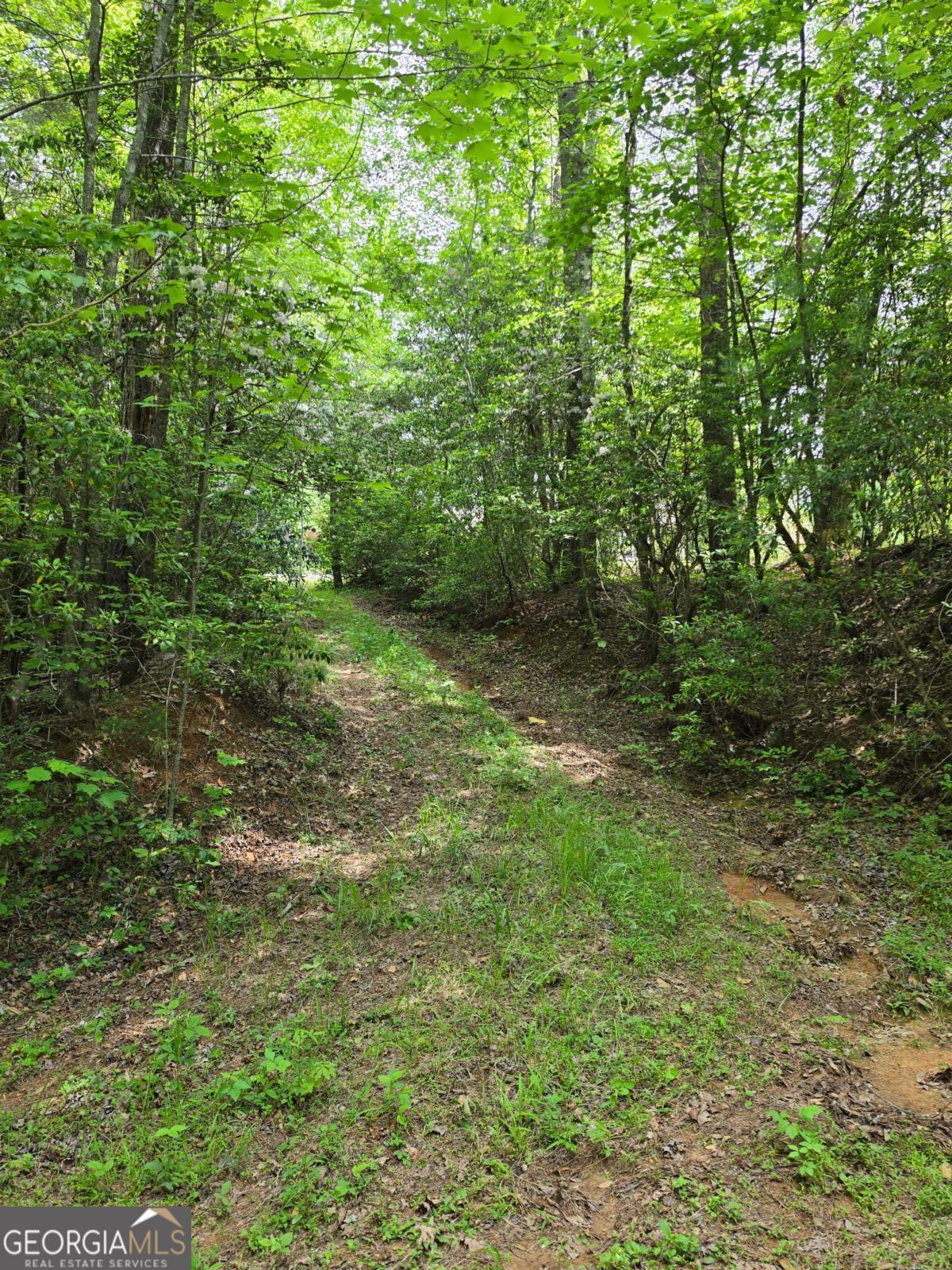 409 Harrison Sluder Road, Unit 140 Ellijay, GA 30540 - Photo 23 of 33 a view of a lush green forest