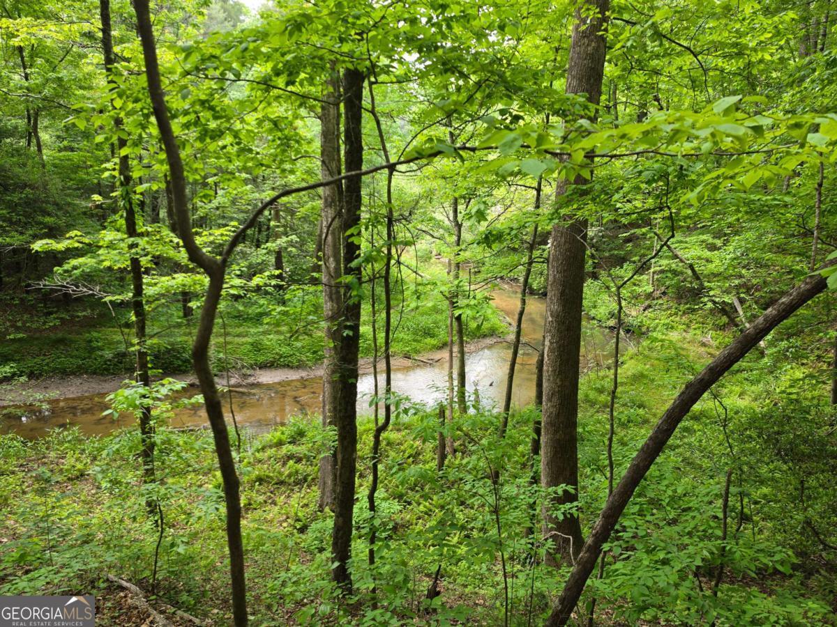 409 Harrison Sluder Road, Unit 140 Ellijay, GA 30540 - Photo 24 of 33 a backyard of a house with lots of green space