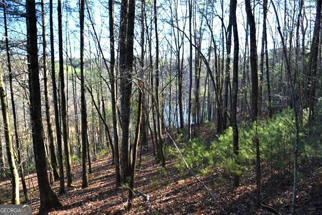 409 Harrison Sluder Road, Unit 140 Ellijay, GA 30540 - Photo 30 of 33 a view of outdoor space with plants