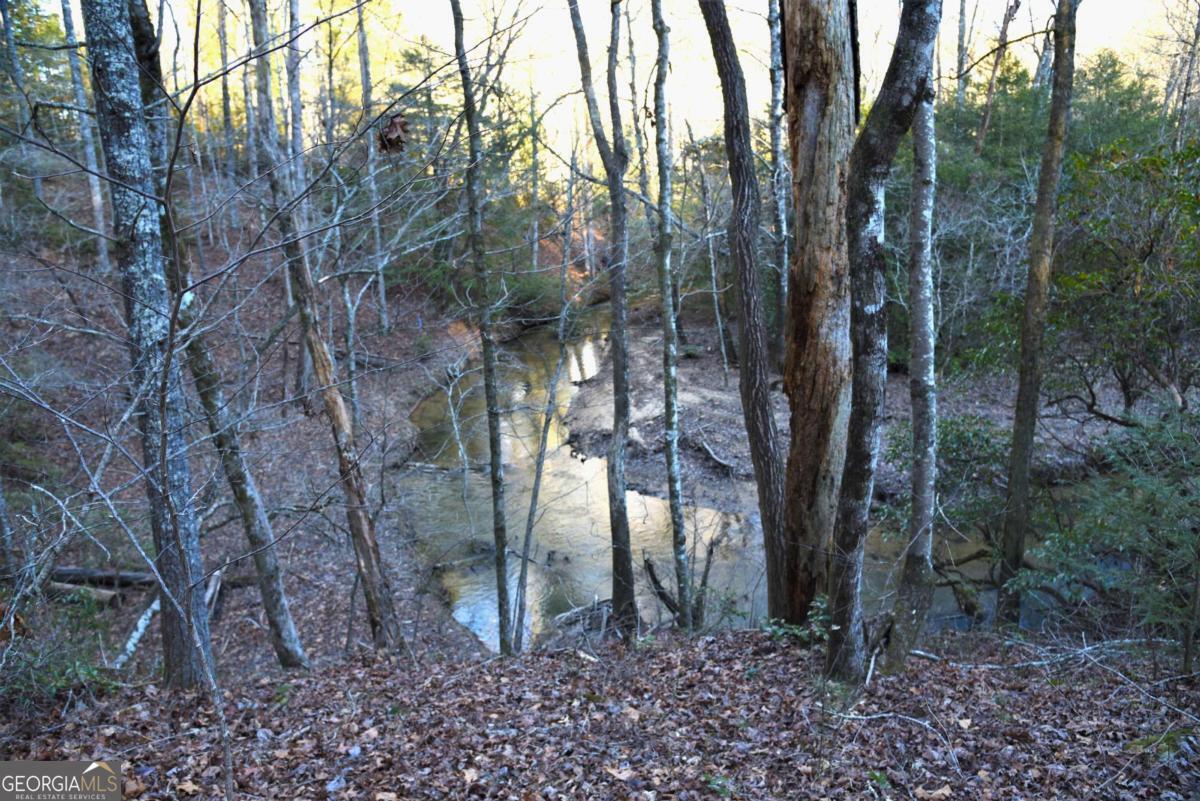 409 Harrison Sluder Road, Unit 140 Ellijay, GA 30540 - Photo 33 of 33 a view of a forest filled with trees