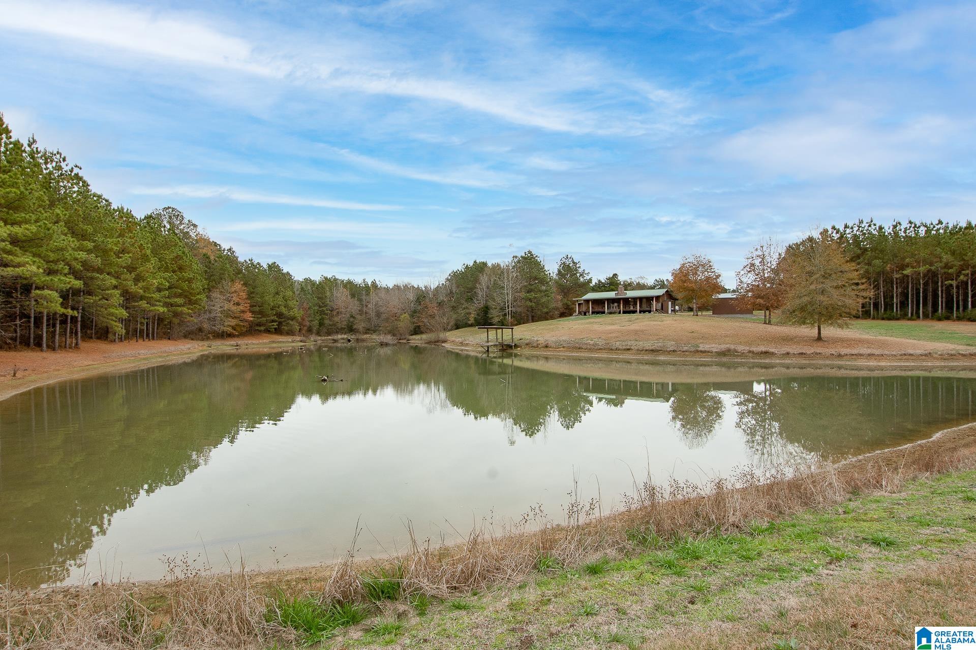 1444 Thrasher Road Sawyerville, AL 36776 - Photo 37 of 47