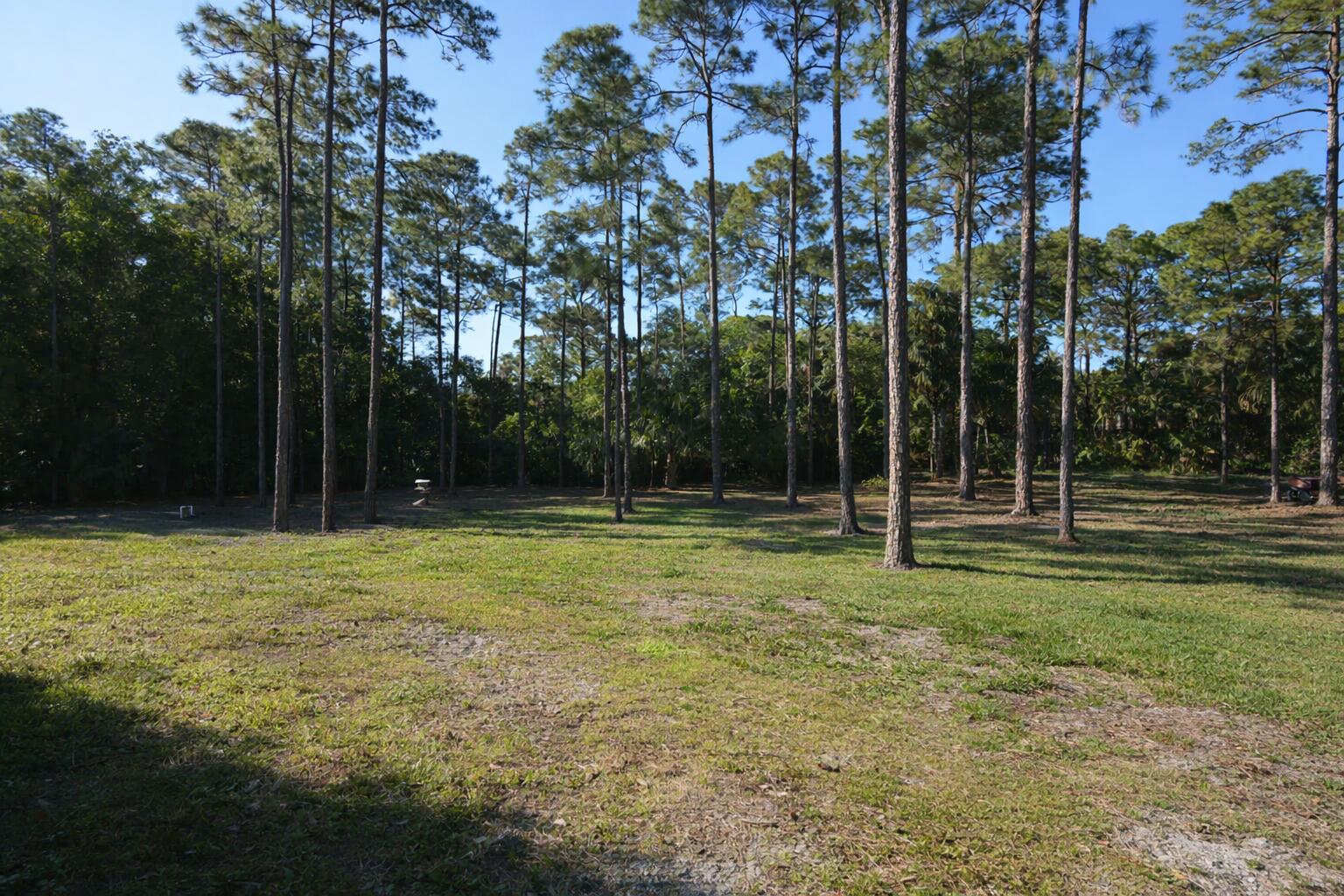 11923 154th Road North Jupiter Farms, FL 33478 - Photo 6 of 6 a view of a park
