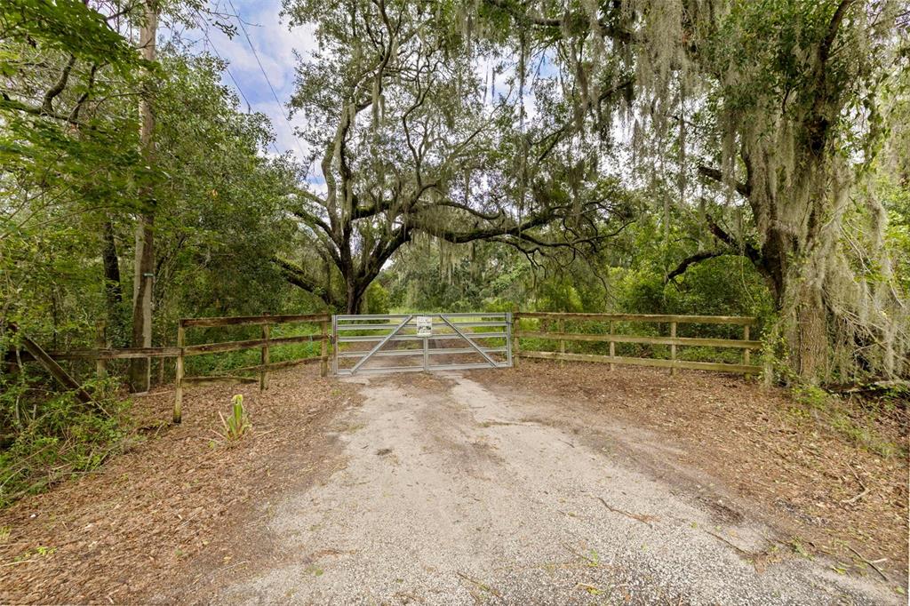 6930 Muck Pond Road Seffner, FL 33584 - Photo 7 of 30 Gallery Image 7