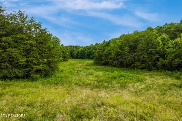 $740,000 | Alex Bales Road, Kodak, TN 37764
