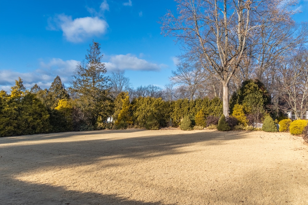 Lot 0 Barington Road Longmeadow, MA 01106 - Photo 5 of 6 Gallery Image 5