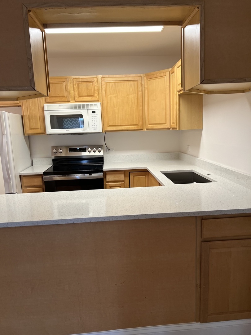 543 Burlington Avenue, Unit 112E Downers Grove, IL 60515 - Photo 7 of 17