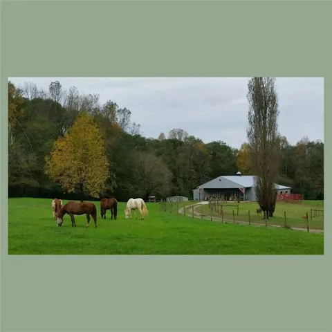 a view of a yard with an outdoor space and trampoline