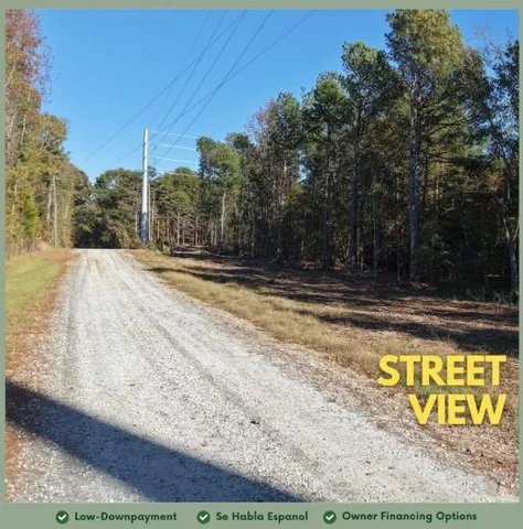 a view of a field with plants