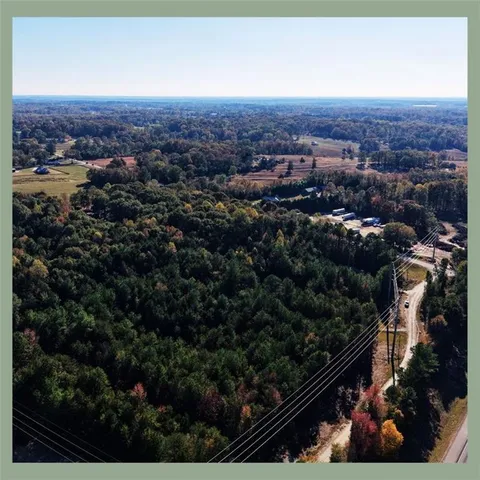 a view of a bunch of plants