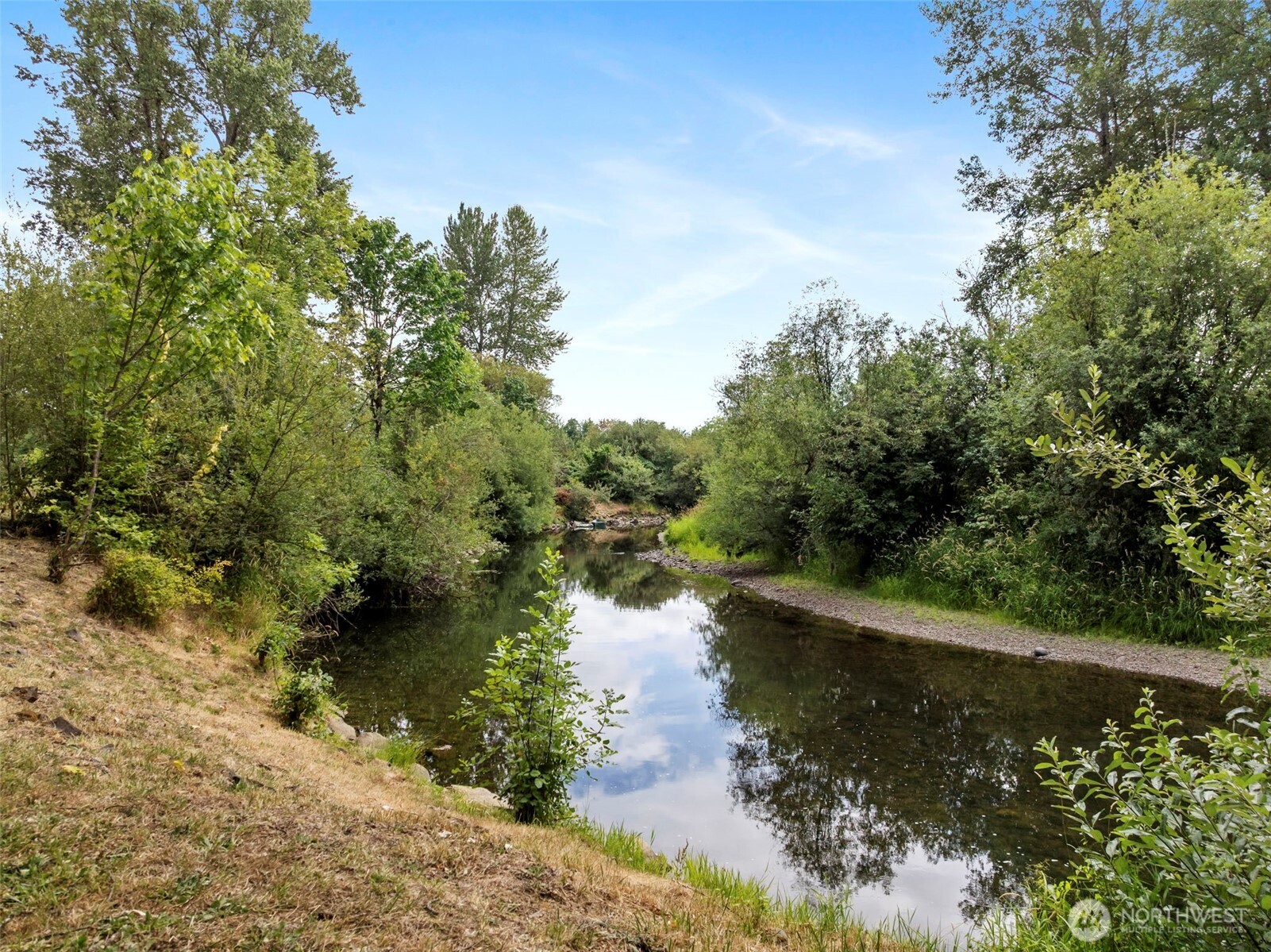 2322 Rice Road Chehalis, WA 98532 - Photo 5 of 39 a view of a lake with green landscape