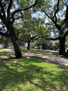1239 St Roch Avenue New Orleans, LA 70117 - Photo 13 of 13