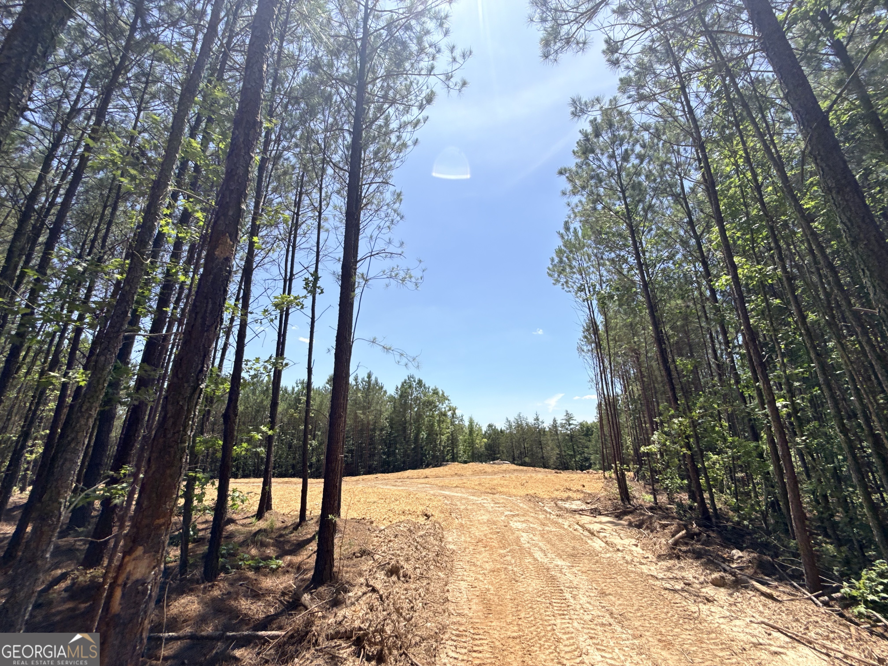 2787 Cedar Creek Road Elberton, GA 30635 - Photo 45 of 88