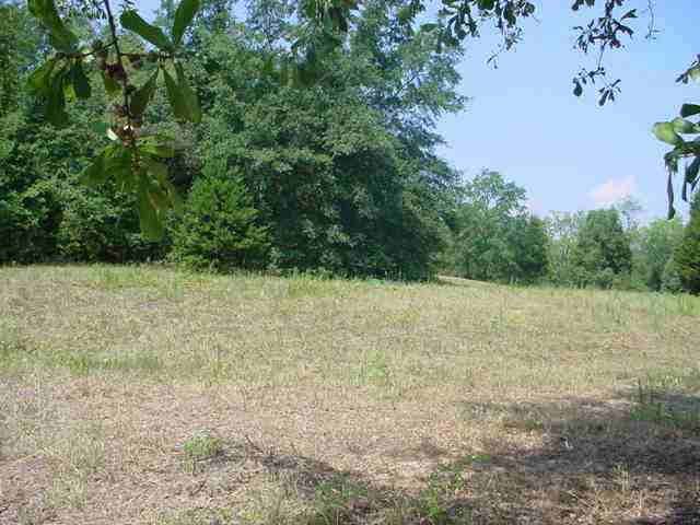 Lot 30 Brookstone Estates, Unit 135 ROUNDSTONE DR Inman, SC 29349 - Photo 4 of 9