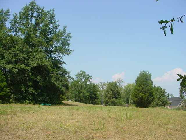 Lot 30 Brookstone Estates, Unit 135 ROUNDSTONE DR Inman, SC 29349 - Photo 5 of 9