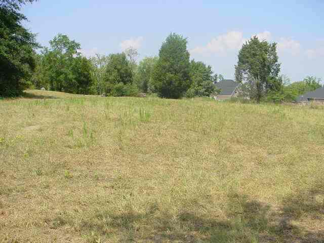Lot 30 Brookstone Estates, Unit 135 ROUNDSTONE DR Inman, SC 29349 - Photo 6 of 9